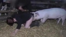 Эротичная зоофилка трахается со свиньей зоо порно