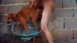 Извращенец из Украины трахает маленькую собаку зоо порно