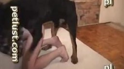 Гомик ебется в попку с крепкой собакой зоо порно видео онлайн