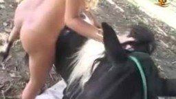 Отменный минет зоофилки коню перед еблей в письку зоо порно