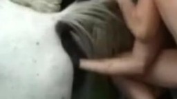 Озабоченная зоофилка пихает руку в пилотку лошади и делает фистнг зоо порно