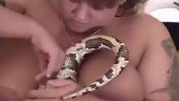 Волостый пижон дерет свою девушку крупным удавом зоо порно секс со змеями