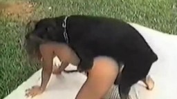 Скачать ретро зоо порно на мобильник женщина дала черной собачке онлайн
