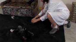 Две шлюшки поразмяли задницы на собачьем писюне порево в анал зоо порно фильм