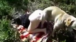 Sex dog потаскуха с тугой задницей пошпилилась с псиной в лесочку зоо кино