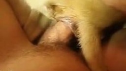 Извращенец трахает кобеля в сжатый анус порнозоо кино