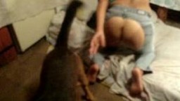 Sex dog моя девушка с упругой изящной задницей поебалась с кобелем