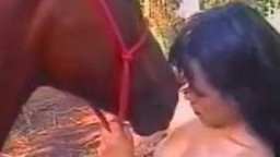 Порно зоо видео horse porn развратные телки ласкают коня