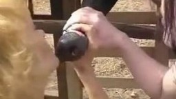 Реалистичное horse porn шлюхи сосут жеребцу в конюшне zoo групповушка